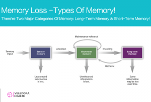 Memory Loss, Foods That Matter in Memory Improvement!