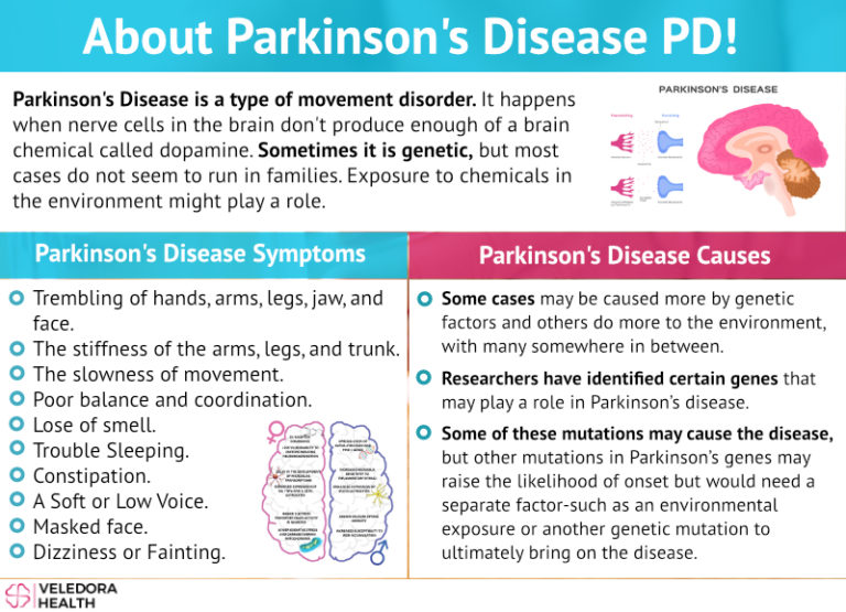 Helpful Insight Into Understanding Parkinson's Disease!