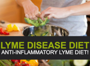 Lyme Disease Diet, Anti-inflammatory Lyme Diet! - Veledora health