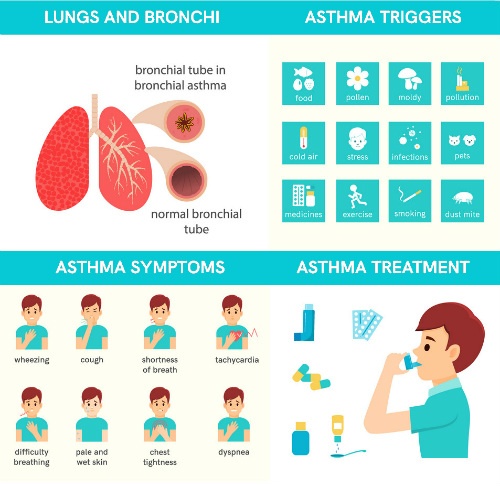 Asthma Disease, How to Reduce Asthma Triggers?